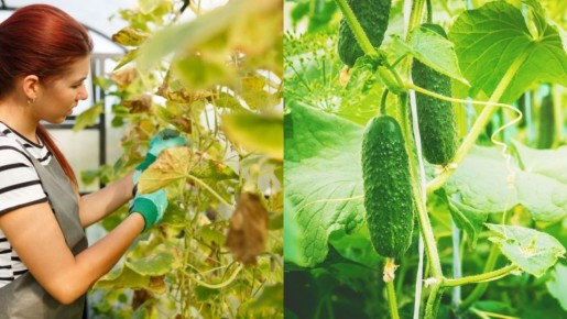 ���������� �� ��������: ��� ������ �������� �������� ������