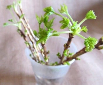 ���������� ������ ���������: ����������� ����� ��� ������������ ����