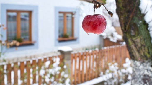 ������� ������ ��������: ��� ����������� ������ ������� � ������