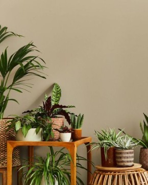 ��� ������������ ��������� �������� ������ �� �� ��������?