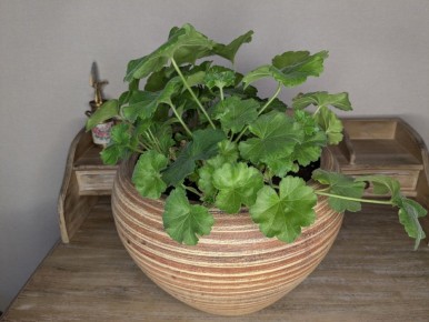 ������ ����������: ��� ����������� �������� � ������� ��������