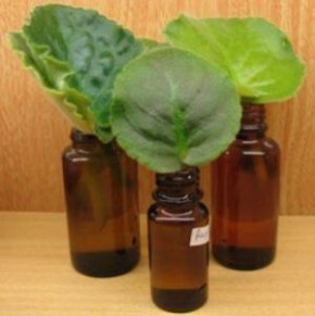 ����������� ������: ������� ���� ��� ������