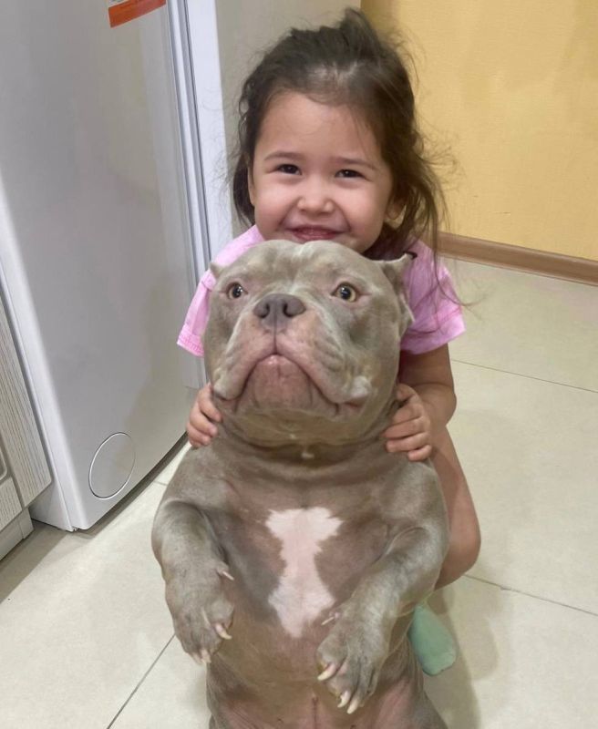 «Я выбрал его потому, что пса хотели усыпить - с ним не справлялись, характер уж больно бойцовский»