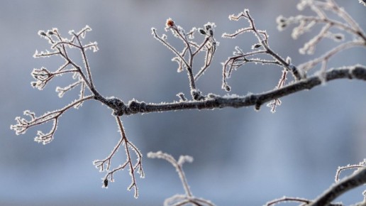 Историческая стужа: Салехард обновил рекорд 1991 года