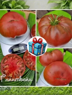 ����� ���������: ����������� ������������ ����������� ����� � ������� ��� �����