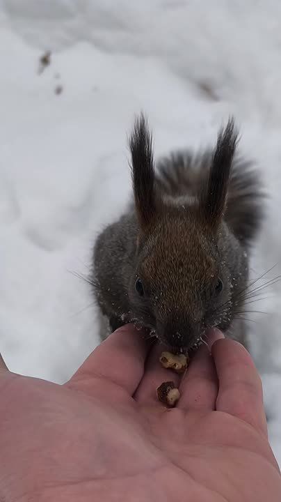 Дежурные по Ноябрьску уже не спят, желают всем активных выходных, вкусных завтраков и напоминают, что