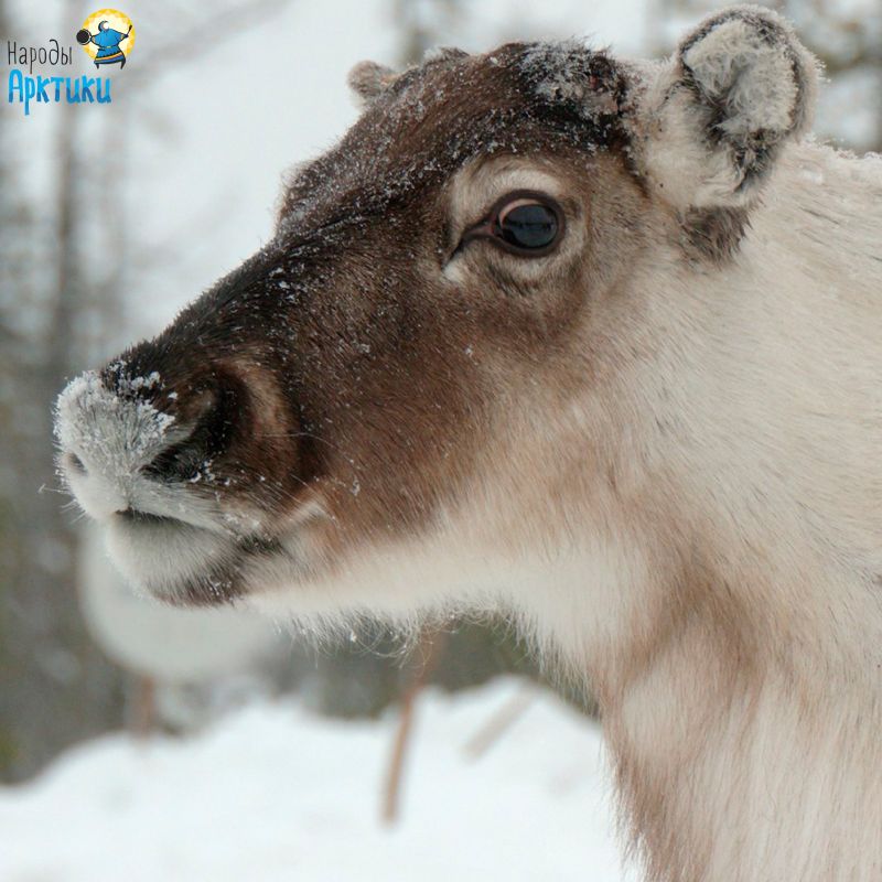 � ���� ���������!. ����� ���� ����� ����� ����� �� �����, ��� �������� ������! #��������