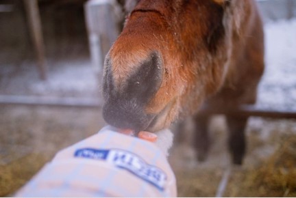 ������ ����, �������!. ������� ����� ����� � ����� ������� �����