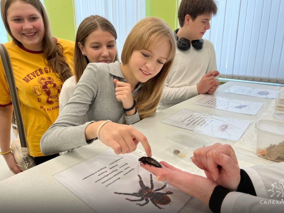 ������ ����: ���� 2.0� - ����� ������ � ���������