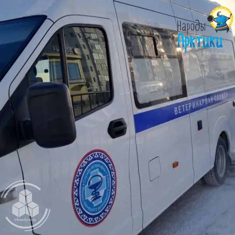 ����� ����� ������� ��������� �������� ����������� ������������ �����