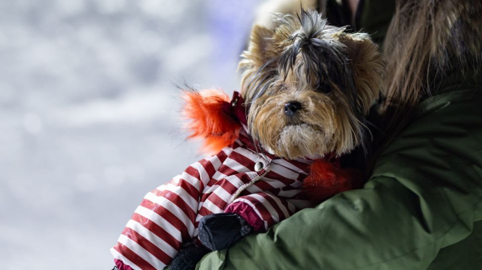 ���� � �������. ���� � �� ����� ������ ����, �������� ���� � ���� ���� ����� ������ � ������� �� �������