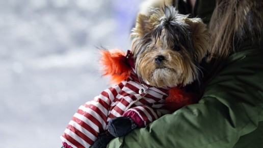 ���� � �������. ���� � �� ����� ������ ����, �������� ���� � ���� ���� ����� ������ � ������� �� �������