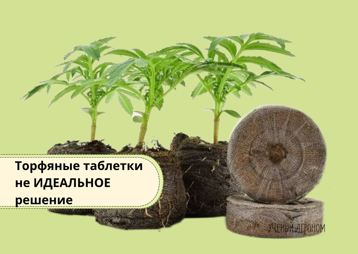 Торфяные таблетки: развенчание мифов о рассаде