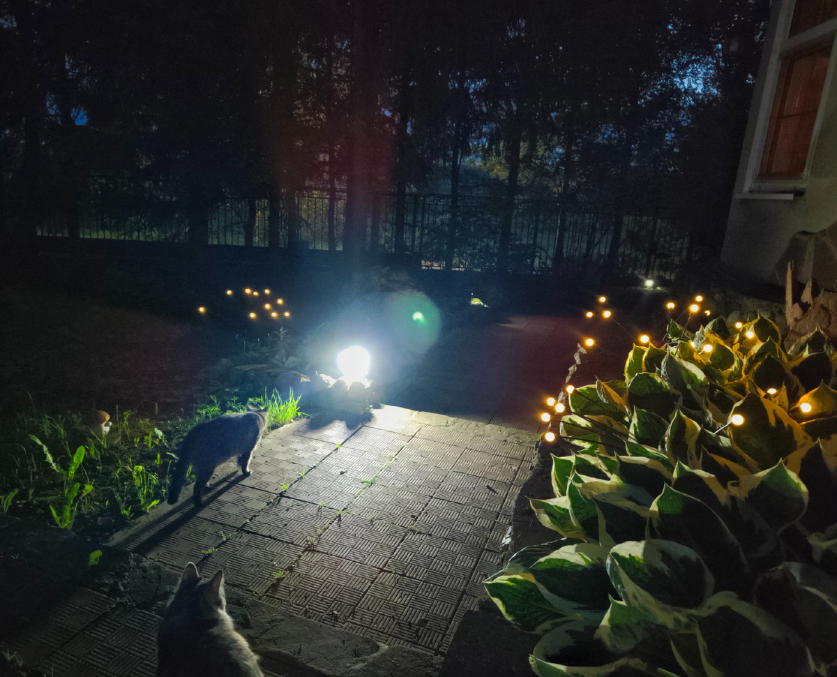 Как любовь к животным сочетается с необходимостью мяса в рационе