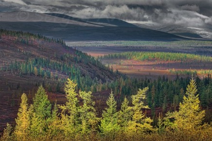 ��� ��� ��������� ���������, ��� ������ �������!