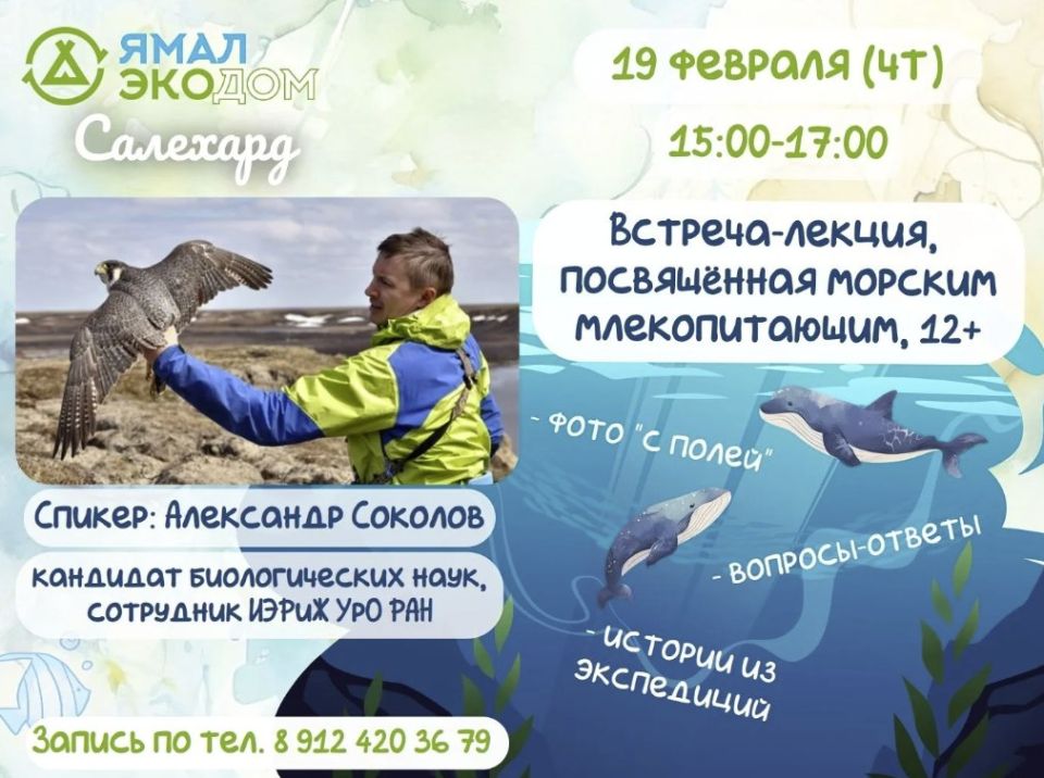 �������-������: ������� � ������� ���������� �Ѩ!