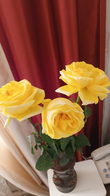 66 ���, ������ ���� � ������: ��� ������� �������� �������� ���� ������ ����� � ����