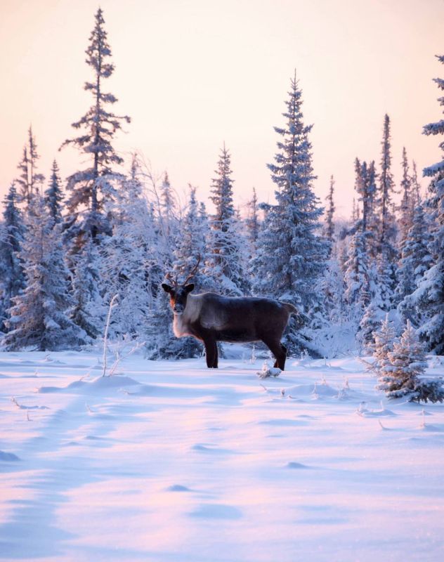 ������ ����, �������!. � ������ ������ ������� � ��� ������� ������ � �������� ��� ������! ������ ���������? / ganimatque ����� ���� l MAX l �� l �� l ����