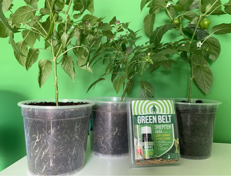 ��� ������������ ������� ��� ��������� ����� ��������� � �������