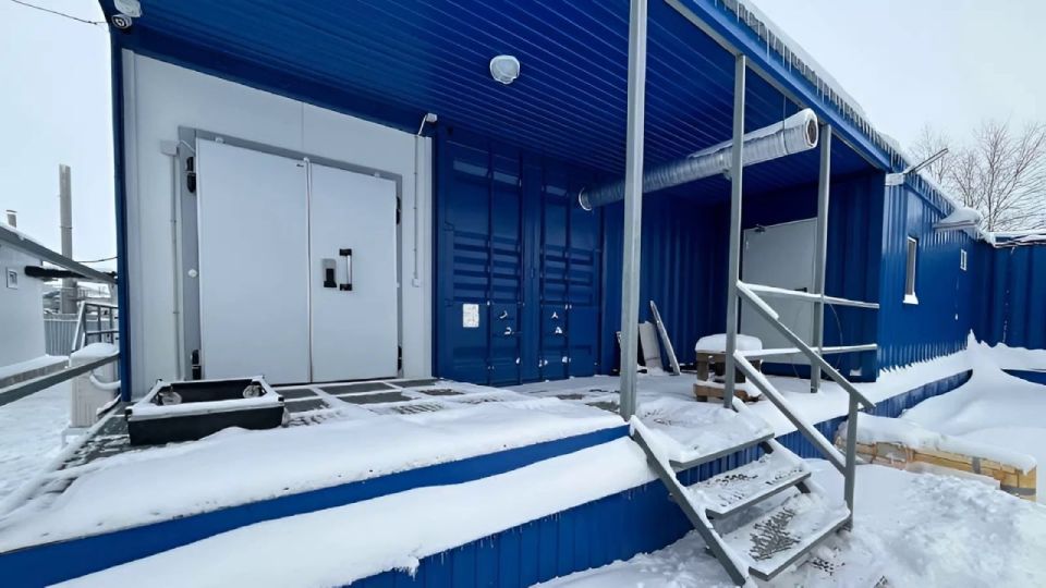 В Надыме открылся новый цех по переработке рыбы