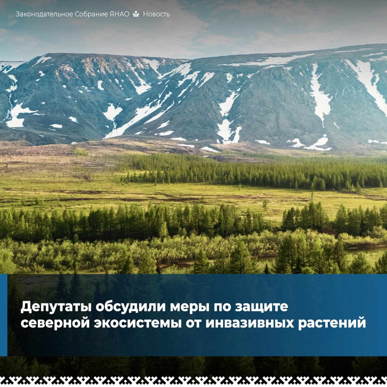 На заседании комитета по экологии, промышленности, АПК и делам КМНС парламентарии рассмотрели проект закона по усилению защиты ямальской природы от вредоносных растений