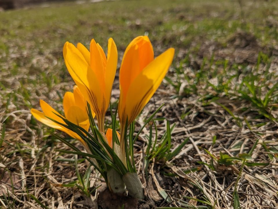 �� ����������: 5 ������� ����� ������� ����� �������� � ����� � ������������