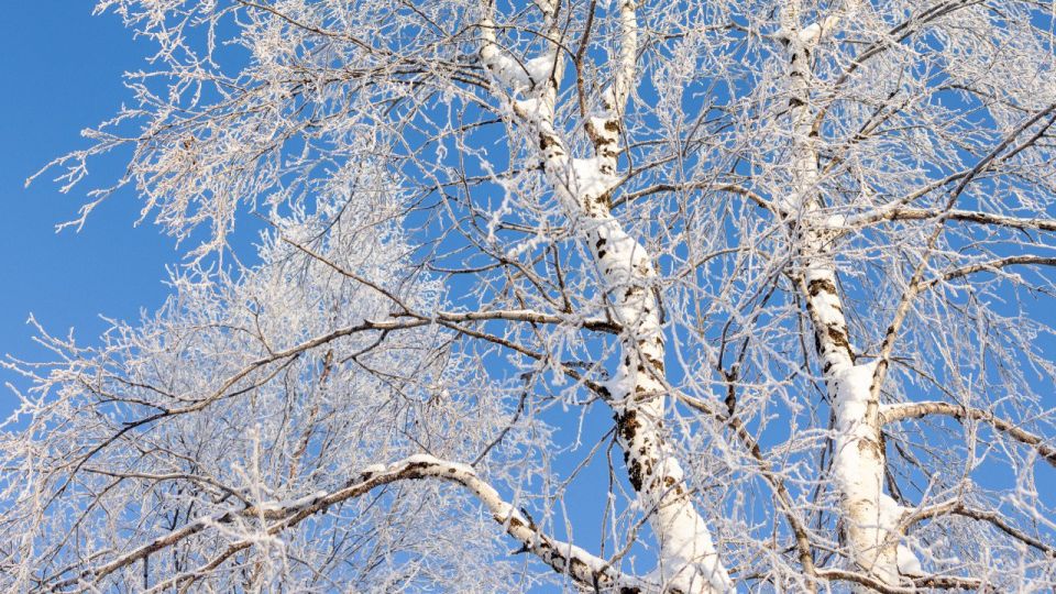 ������ ������ � �����: ��������� � �������� � ������