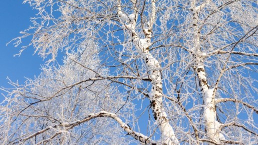 ������ ������ � �����: ��������� � �������� � ������