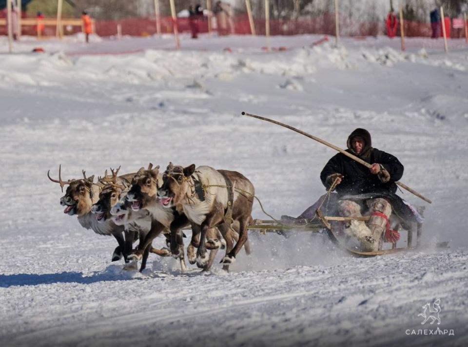 ������� ������������ ��� �� ���� ��������� � 2026 � ���������