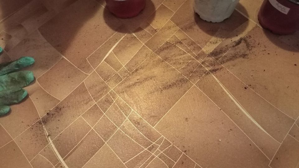 ��� ������ ����� � ���� ��� �����: 5 ������� ��������� ��� ������� ������