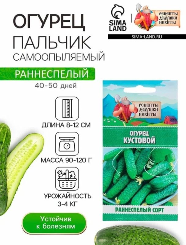 ��� ����� ����������� ������� ��� ������: ������� ������ ��������