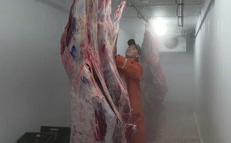 Пуровский район наращивает темпы мясной кампании