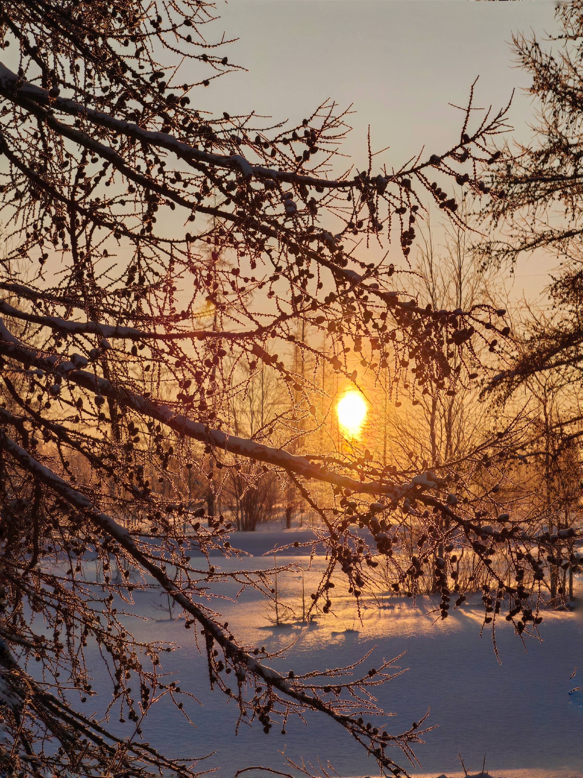 Наслаждаемся пятницей, ведь впереди у кого-то три дня выходных! Наслаждаемся пятницей, ведь впереди у кого-то три дня выходных!