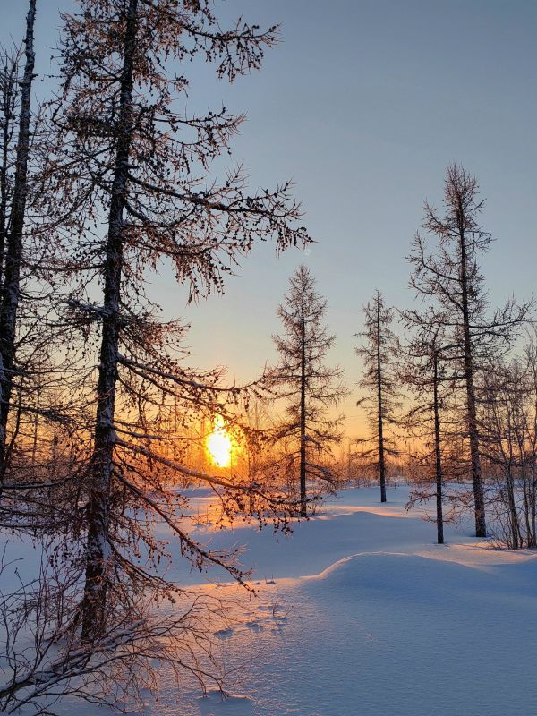 ������������ ��������, ���� ������� � ����-�� ��� ��� ��������!