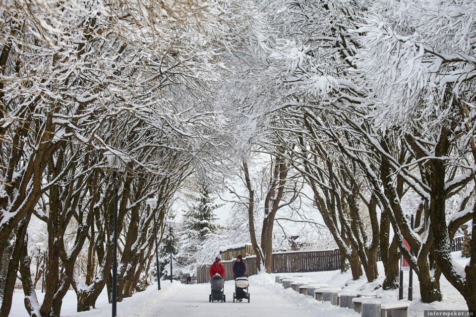 ����������� ��������� � ����� �������: ��� ���� �������� �������