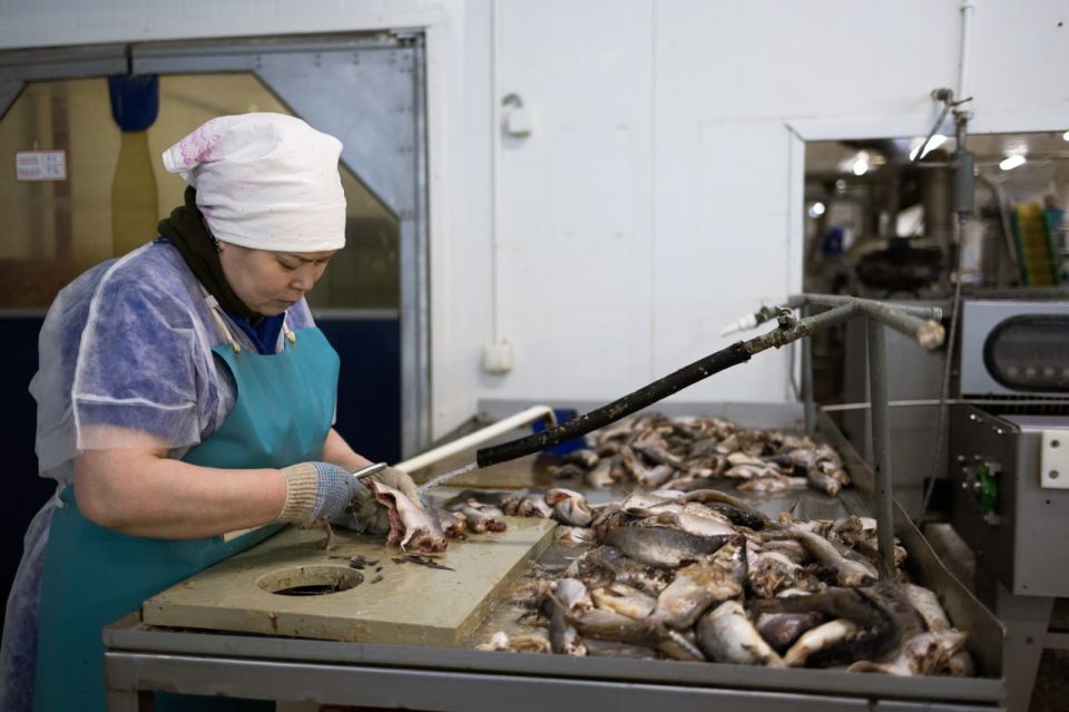 ������������ �������� �������� ������ ���������������� �� �����