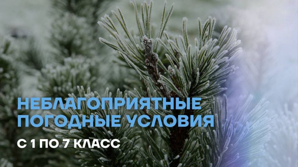 ������ � ����� ������� -37��, ����� �������� 4 �/�