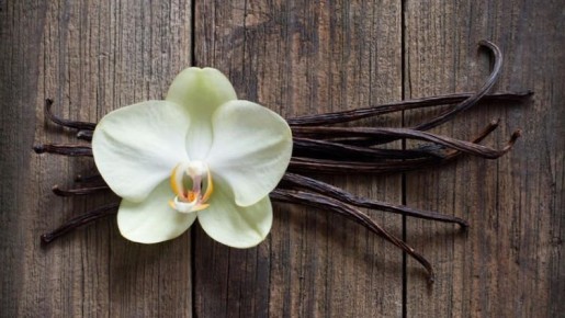 ������: �����������, ������� ��� ������