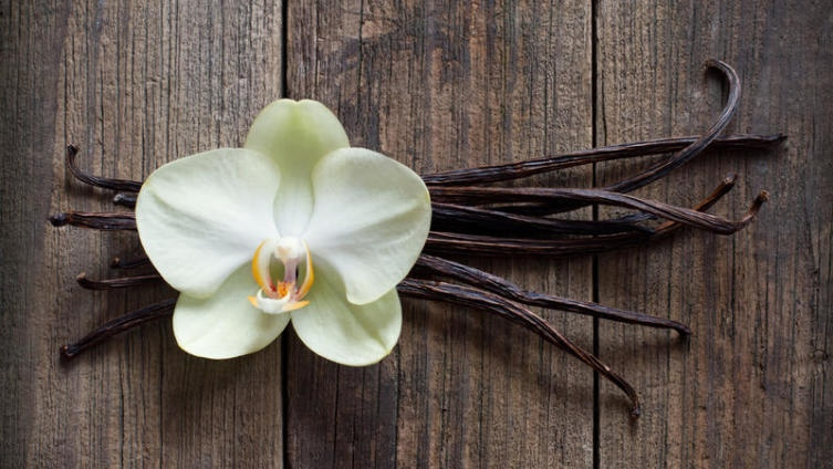 Ваниль: Подробности, которые вас удивят