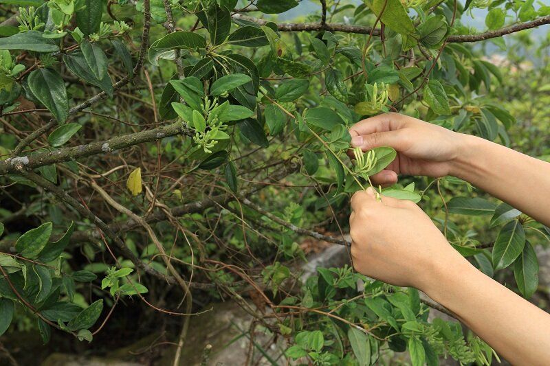 ����������, ������� �� ����� �������� ������