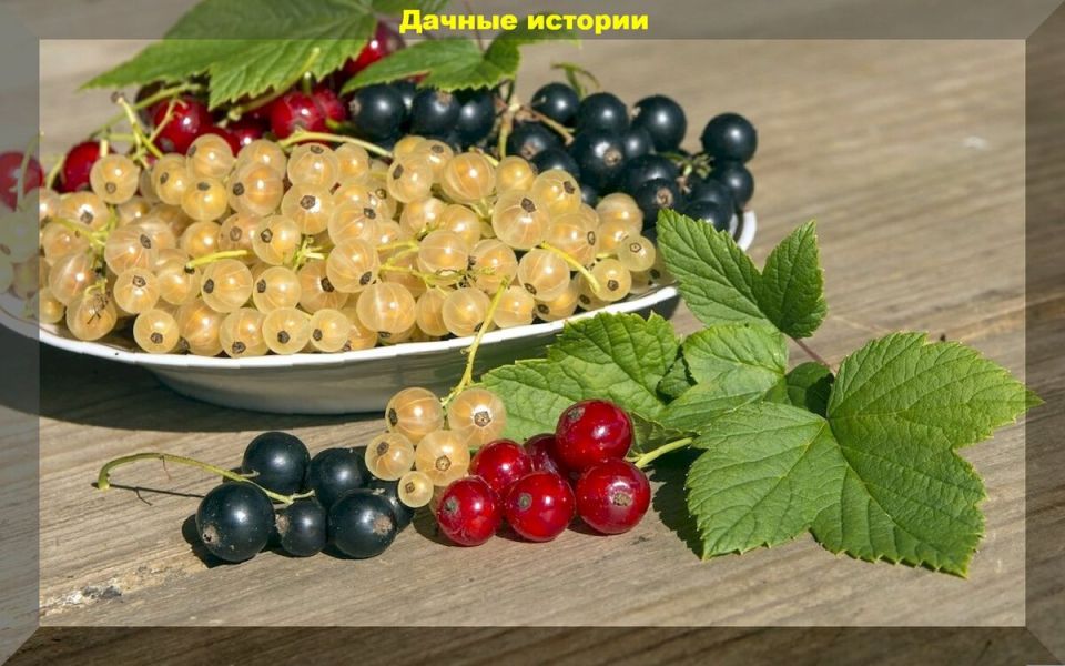 ���������: ������� ����� ��� ������������� ������