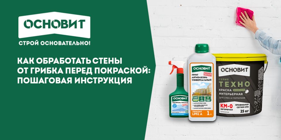 Как эффективно побороть грибок на стенах перед покраской