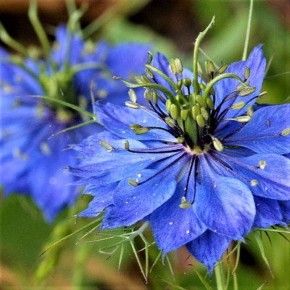 ������������� ����� ��� ������ ����: ���������� ��� ������ �����