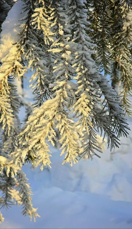 ������ � ������; ���� ��������!