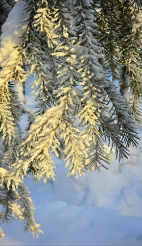 ������ � ������; ���� ��������!