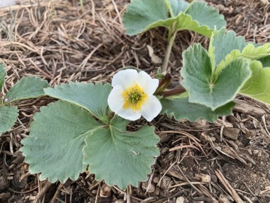 ��� �������� ���������� �� ����������� � ���������� � ��������