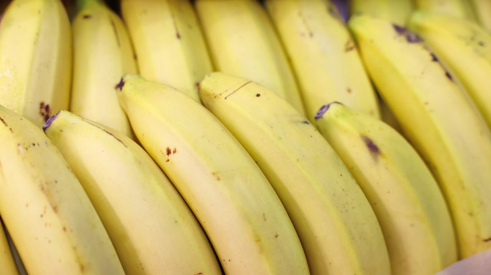 ������ � ���� ����� ��������