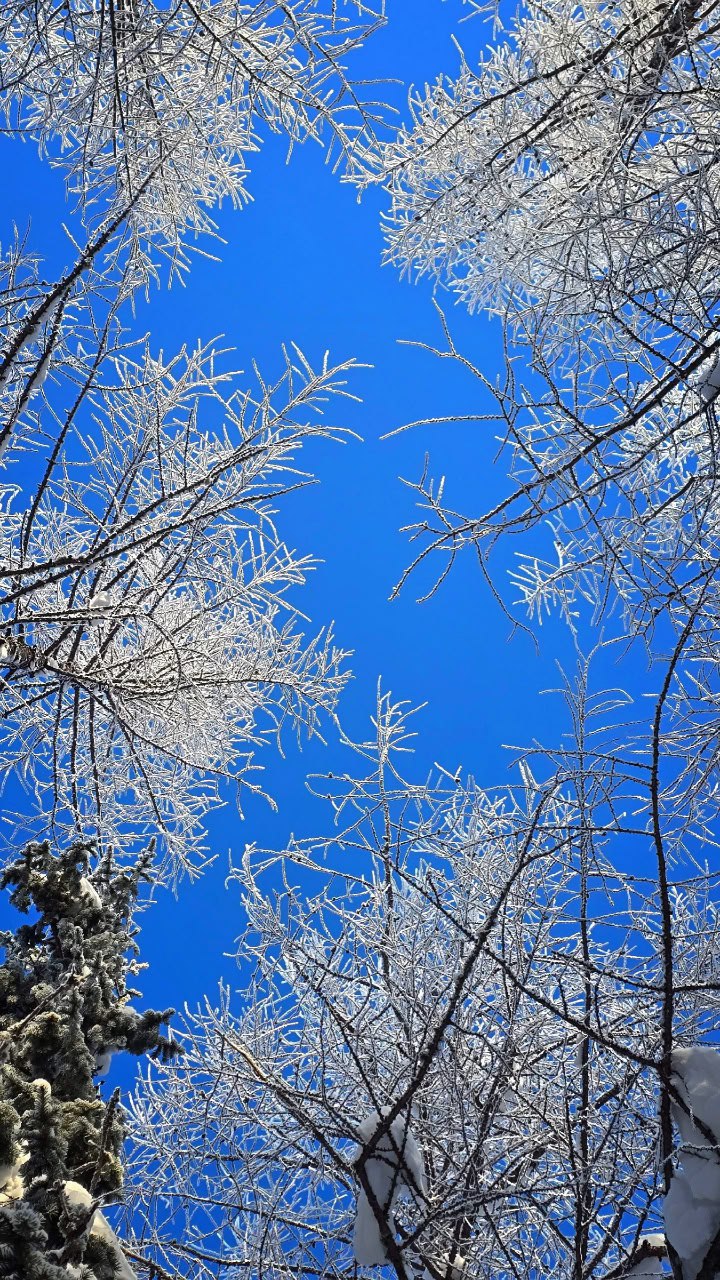 «Мороз и солнце; день чудесный! «Мороз и солнце; день чудесный!