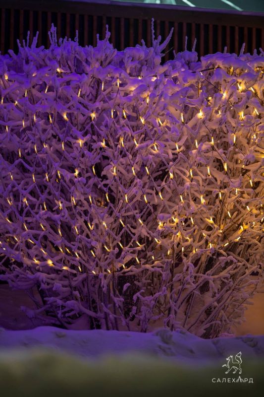 ������ �����! �������� ������ ����� �������� ���