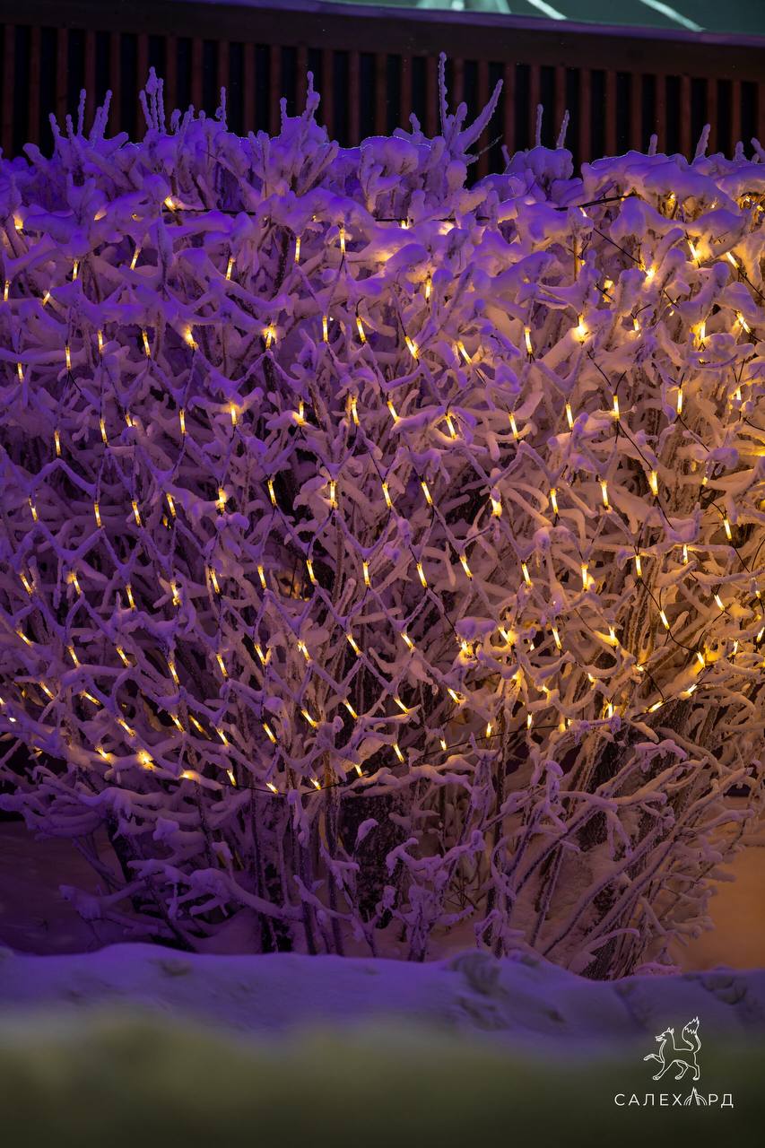 Добрый вечер! Хорошего отдыха после рабочего дня